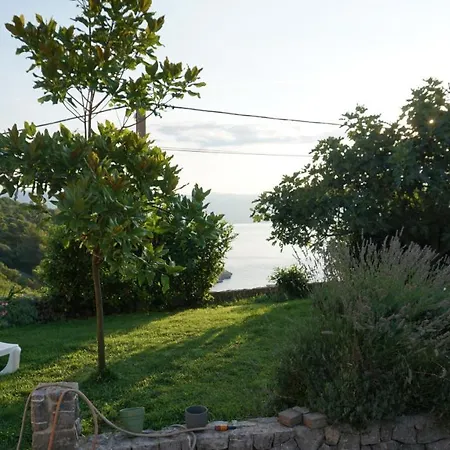 Mirela Bed & Breakfast 4*